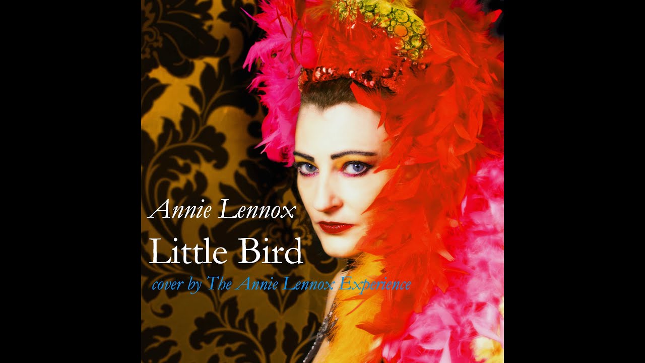 Little Bird Annie Lennox Cover Version Recorded And Performed By little-bird-annie-lennox-cover-version-recorded-and-performed-by