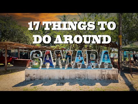 Video: Samara Information: A Guide To Samara Fruits And The Trees That Makes Them