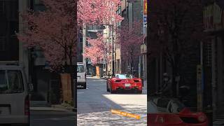 Download Lagu Sakura and Ferrari in Japan #ferrari #japantrip #japan #sakura #road MP3