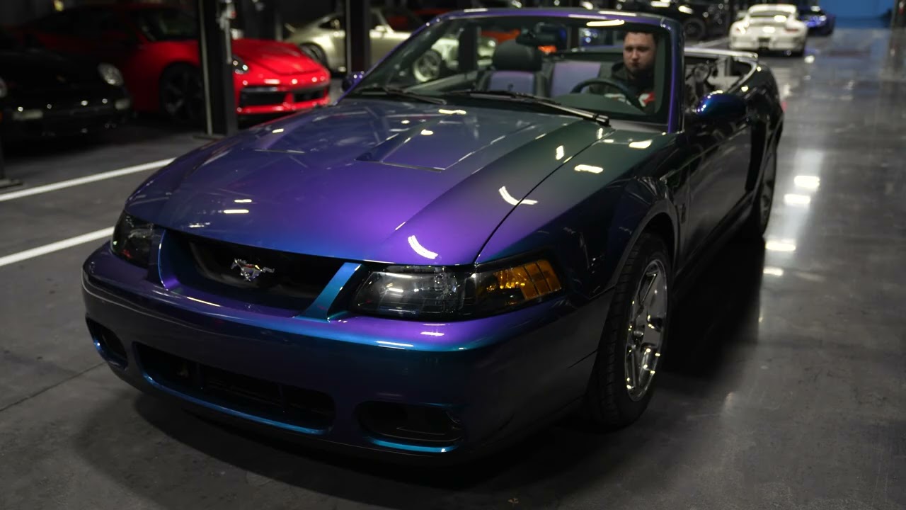 2004 Ford Mustang SVT Cobra: Startup and Revs