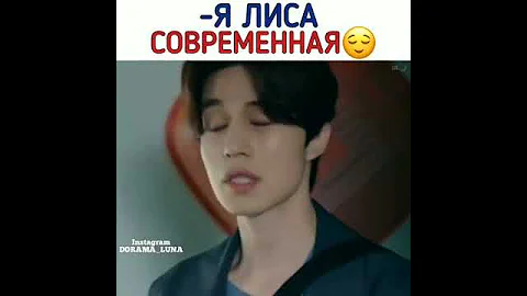 -Я лиса современная 