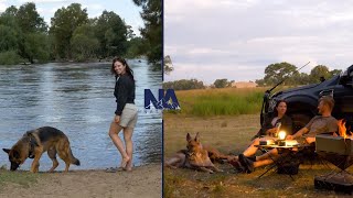 TRUCK RIVER CAMPING with DOGS in LIGHT RAIN | ASMR, Couple Camping, German Shepherd, Fire Cooking |