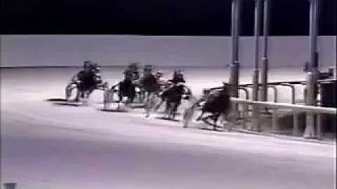 1989 Mohawk Raceway ARMBRO FEATHER Milton Stakes Final