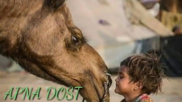 How to on inbuilt Portrait mode And blur effect for REDMI NOTE4