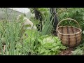 Visite du jardin de Noëlle Guillot, lauréate 2018 du concours Jardiner Autrement