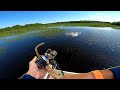 Searching for Vicious Fish in the GRASS! (GIANT LURES)