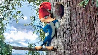 نقار خشب ذكي بيعمل مقالب فى عمال عاوزين ياخدو بيته وبيطفشهم ! ملخص فيلم woody woodpecker