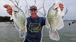 Fishing Pre Spawn Crappie in Timber using Tube Jigs