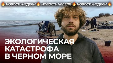 Thumbnail of Экологическая катастрофа на юге России | Черное море тонет в мазуте, добровольцы спасают Анапу