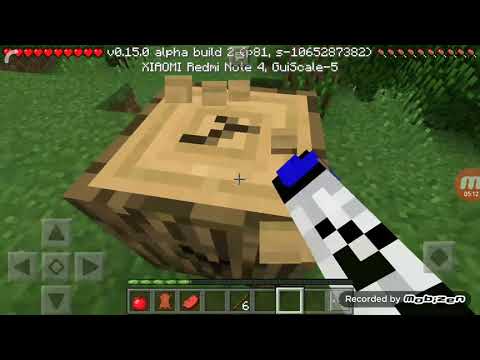 ნიკა გიოსთან ერთად ახალ დაწყებული იუთუბერი