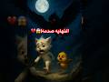 مياو اتخطف االجزءالتالت Cat Ai Funny Shortsvideo مياو اتخطف االجزءالتالت Cat Ai Funny Shortsvideo