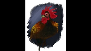 #Shorts | Digital Drawing Rooster Speedpaint | Ipad, Apple Pencil, Procreate