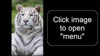 Video Tiger Wallpapers  free full HD and Backgrounds App screenshot 1