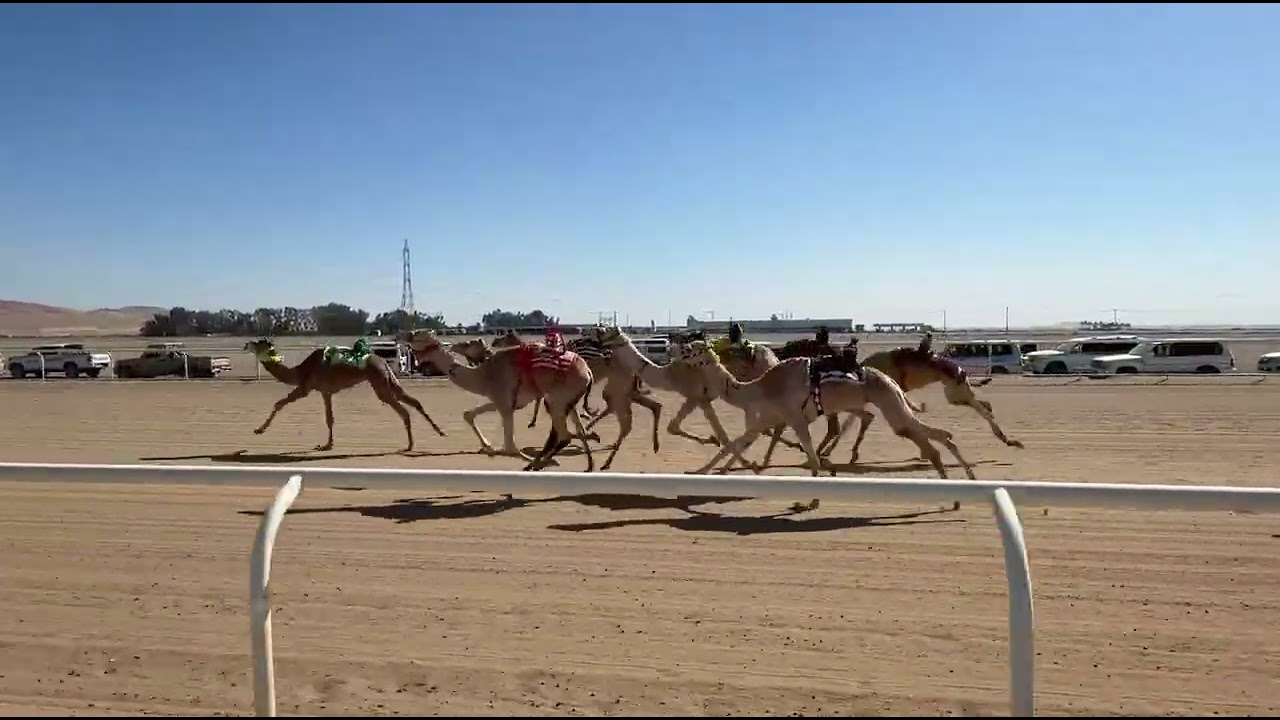 الشوط الاول | بكار لقايا رئيسي | جباره | محمد بن فهد المديني | 7:50:59
