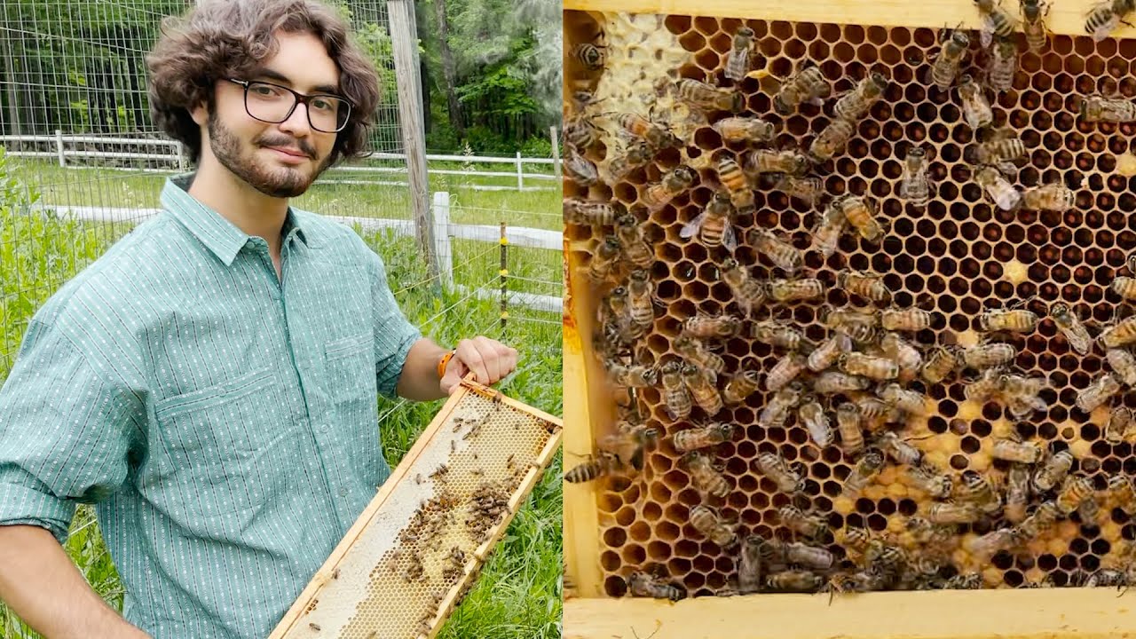 Honey Bees thrive and stay busy at this family farm!