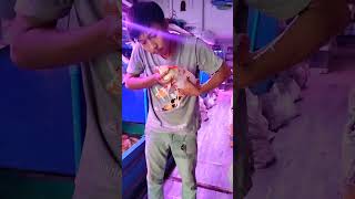 The Biggest Catfish In The Store 1158