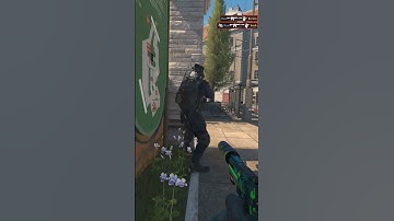 Flashed on Overpass with 4 Eliminations