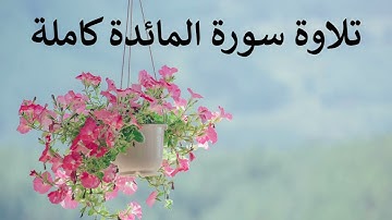 تلاوة سورة المائدة كاملة للقارئ احمد الشبلي  | surah Al-Ma'ida