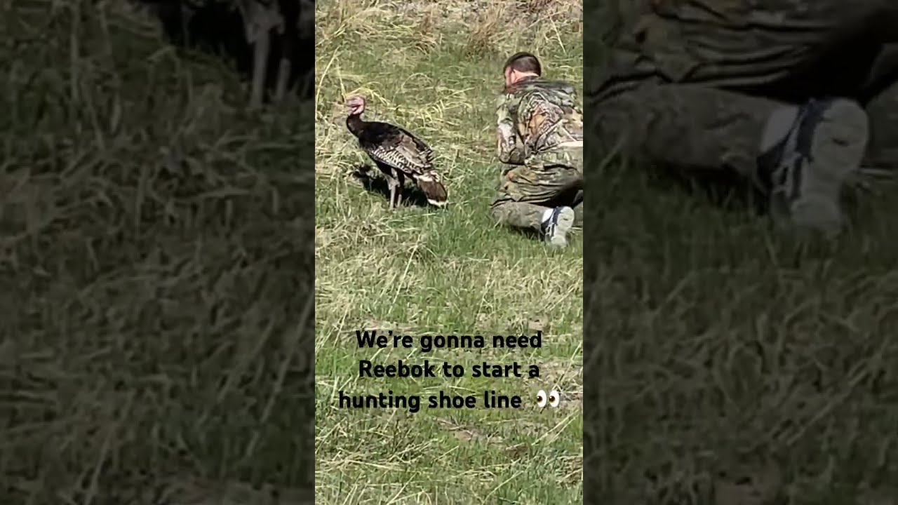 They Re Actually ASICS Hunting Turkey Knockoutcity