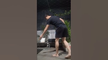 Phi đao ám sát chuột chết