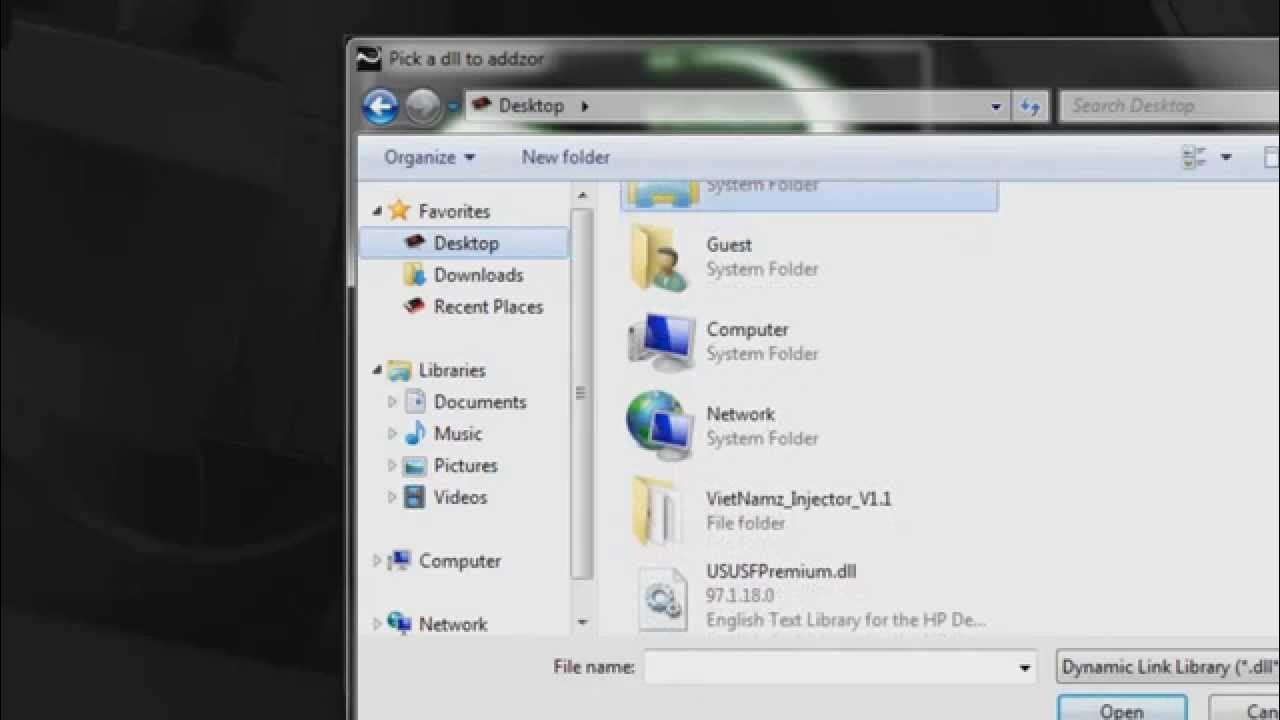 VietNamz DLL Injector V1.1 YouTube