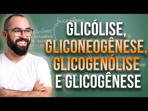 Vídeo: Quais dos seguintes são exclusivamente glicogênicos?