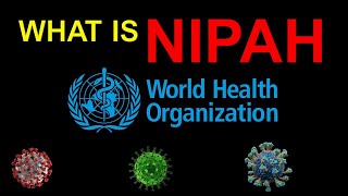 What is Nipah Virus? | Past Outbreaks/Transmission/Signs & symptoms/Treatment | Prevention | WHO/NiV