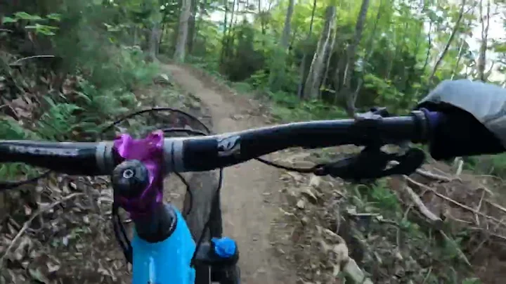 Tunnel Ridge trail. Rochester,VT