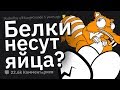 ГЛУПЕЙШИЕ Вещи, Произнесёнными Публично #2