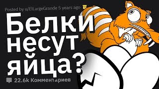 ГЛУПЕЙШИЕ Вещи, Произнесёнными Публично #2