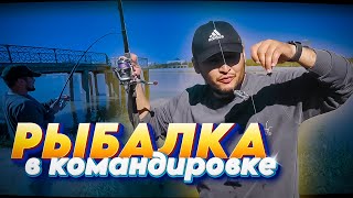 видео: рыбалка в АТЫРАУ, река Жайык (Урал) картинка: рыбалка в АТЫРАУ, река Жайык (Урал)