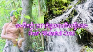 ស្អាតត្រជាក់៚ទឹកភ្នំត្រជាក់ដូចបារមីមន្តអាគម៚ Waterfall