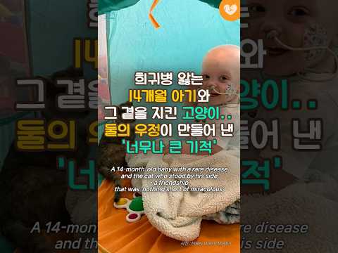 희귀병 앓는 14개월 <strong>아기와</strong> 그 곁을 지킨 <strong>고양이</strong>.. 둘의 우정이 만들어 낸 &amp;#39;너무나 큰 기적&amp;#39;  #shorts #<strong>고양이</strong> #기적