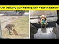 UPS Drivers Have A Facebook Group About Dogs They Meet On Their Routes, And It Will Make Your Day