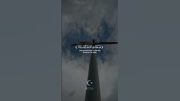 سورة الروم #مشاري_البغلي