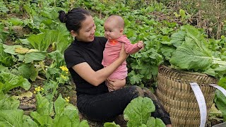 30 Days - 17 Year Old Single Mother, Harvesting Vegetables, Bananas, Squash & Gardening
