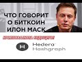 ИЛОН МАСК  И БИТКОИН! КРИПТОВАЛЮТА БУДУЩЕГО -Hedera Hashgraph, ЗАРАБАТЫВАЙ, ИНВЕСТИРУЙ, БОГАТЕЙ.