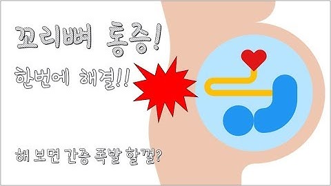 꼬리뼈 통증 한번에 잡는 완벽 루틴!! / 한번해보면 간증 폭발합니다(by. 노은혜)