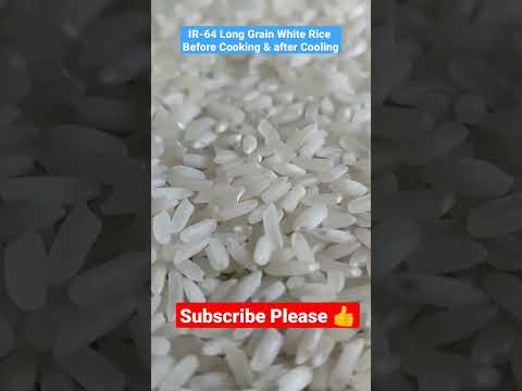 Long Grain White Rice - IR-64 White Rice - before & after Cooking - #
