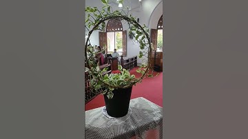 Aardhramathe Vaathilil Muttunnu I Kottayam Jerusalem MTC Choir I Mar Thoma Syrian Church