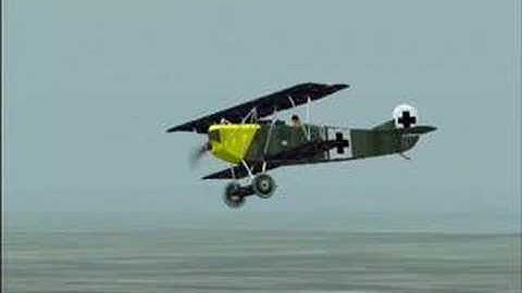 The Human Cannonball