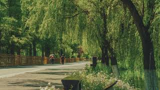 soft piano music for relaxing & stress relief screenshot 4