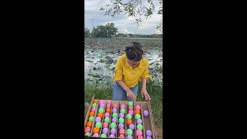 Best Ball Sort Puzzle Challenge Fun 🟢🔴🟡🔵 family