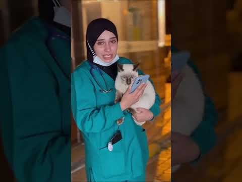 ياريت اللى محتاجها يسيب تعليق وانا هتواصل معاه 