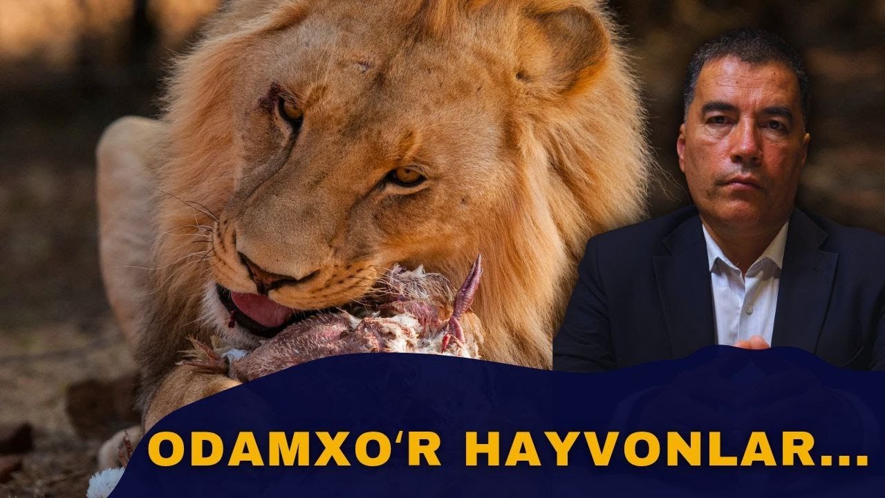 Hayvonlar xavflimi? — Tarixchi va geograf Ixtiyor Esonov