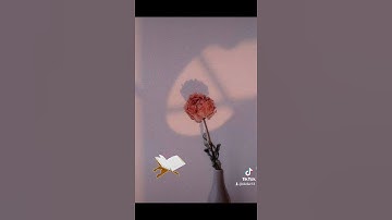 نُّورٌ عَلَىٰ نُورٍ ۗ يَهْدِي اللَّهُ لِنُورِهِ مَن يَشَاءُ ۚ  "سورة النور" 💜