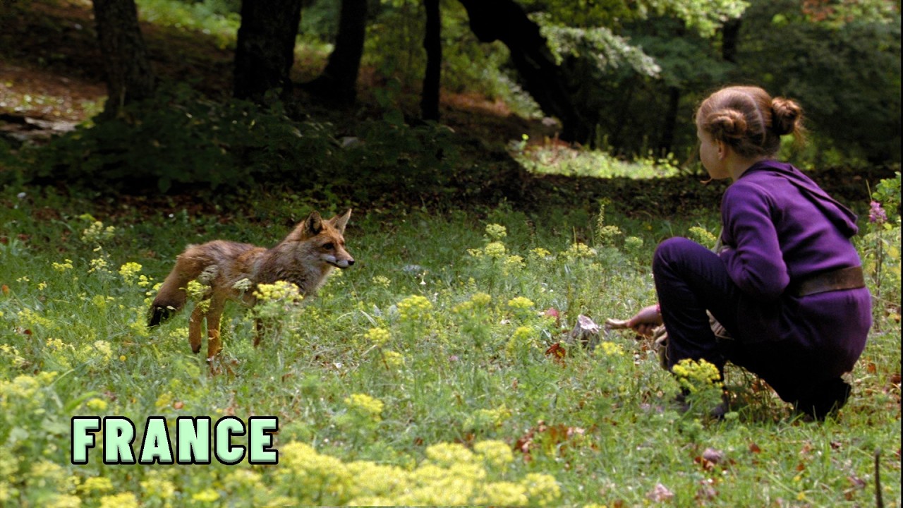 Comment dresser un renard ? - Backstage du film Le Renard et l'Enfant