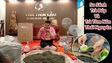 So Sánh Hương Vị Trà Búp Và Trà Nõn Tôm Thái Nguyên Chuẩn Nhất - Trà Tiên Lầu 0968.600.070