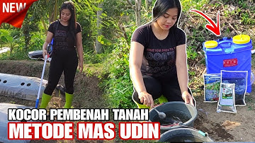 METODE MAS UDIN KOCOR TIGA UNSUR PEMBENAH TNAH SEBELUM TANAM