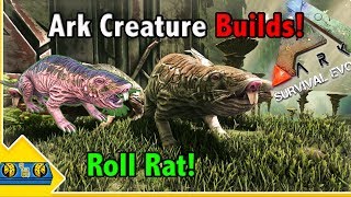 Ark Creature Builds!! || ROLL RAT Builds! || Ark Survival Evolved!